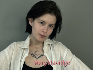 Meryldavidge