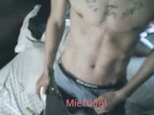 Mierdoel