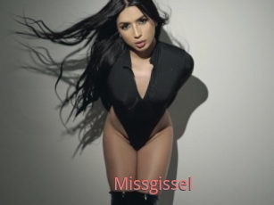 Missgissel