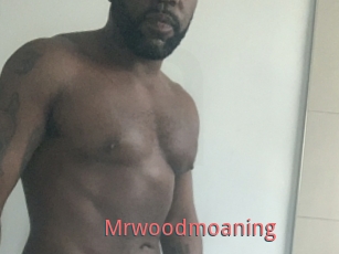 Mrwoodmoaning