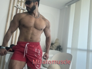 Mulatomuscle