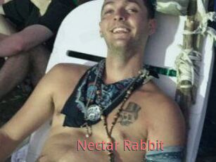 Nectar_Rabbit