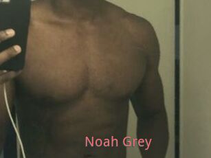 Noah_Grey