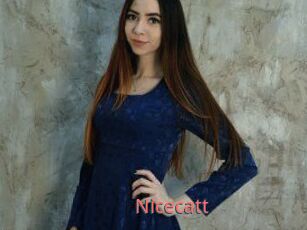 Nicecatt