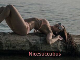 Nicesuccubus