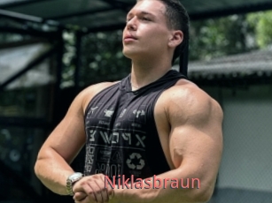 Niklasbraun