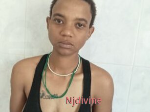 Njdivine