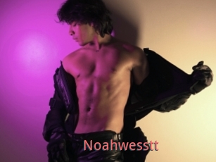 Noahwesstt