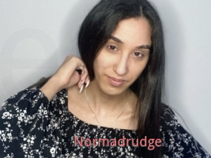 Normadrudge