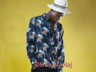 Olaoluwaolaj