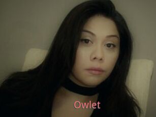 _Owlet_
