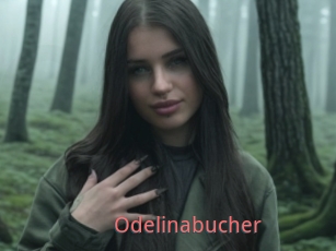 Odelinabucher