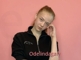 Odelindagary