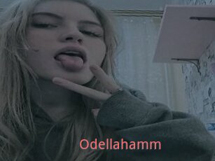 Odellahamm