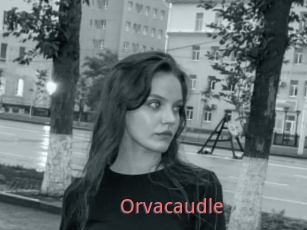 Orvacaudle