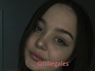 Ottiliegales