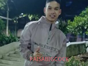 PAISABIGCOCK