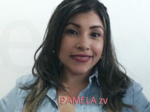 PAMELA_zv