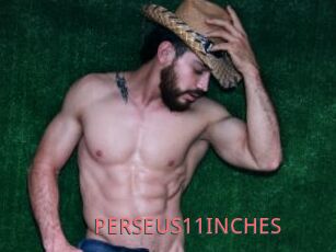 PERSEUS11INCHES