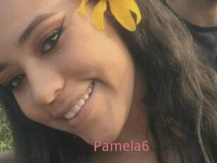 Pamela6