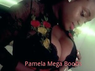 Pamela_Mega_Boobs