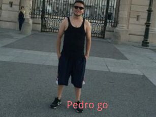 Pedro_go