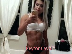 Peyton_Cavalli