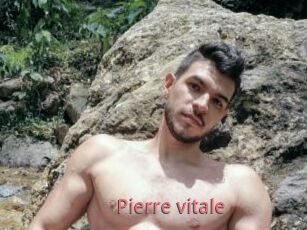 Pierre_vitale