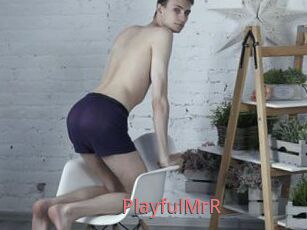 PlayfulMrR