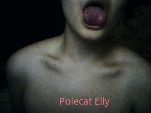 Polecat_Elly