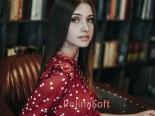 PolinaSoft
