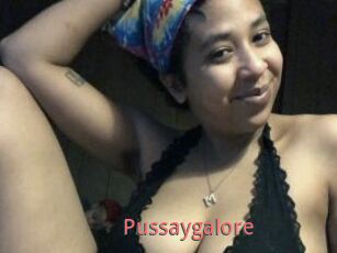 Pussaygalore