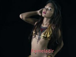 Pameladir