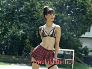Pamelalaatinhot