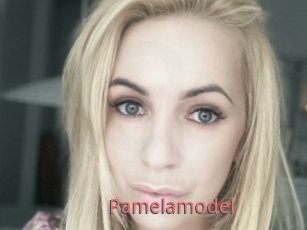 Pamelamodel