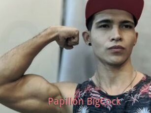 Papillon_BigCock