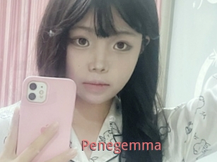 Penegemma