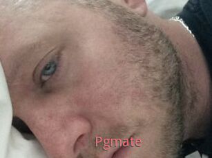 Pgmate