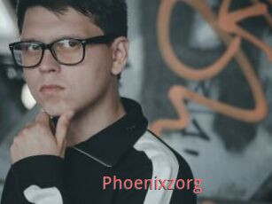 Phoenixzorg