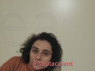 Pisicutacalient
