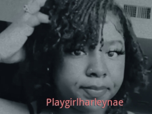 Playgirlharleynae