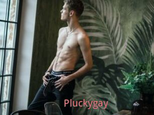 Pluckygay