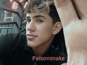 Poisonsnake