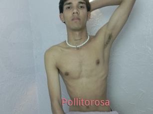 Pollitorosa