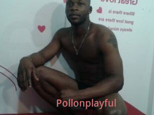 Pollonplayful