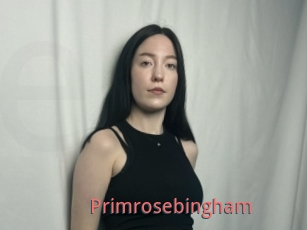 Primrosebingham