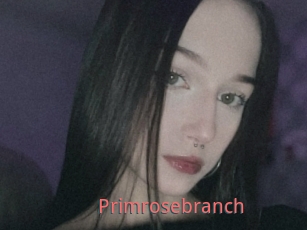 Primrosebranch