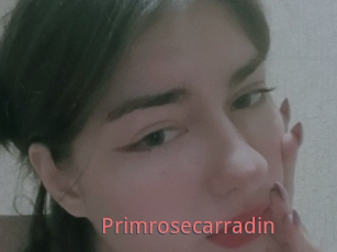 Primrosecarradin