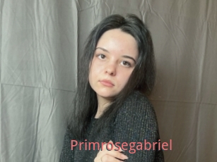 Primrosegabriel