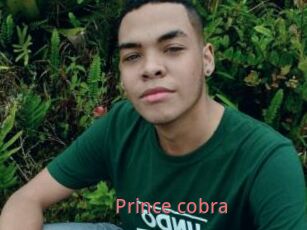 Prince_cobra